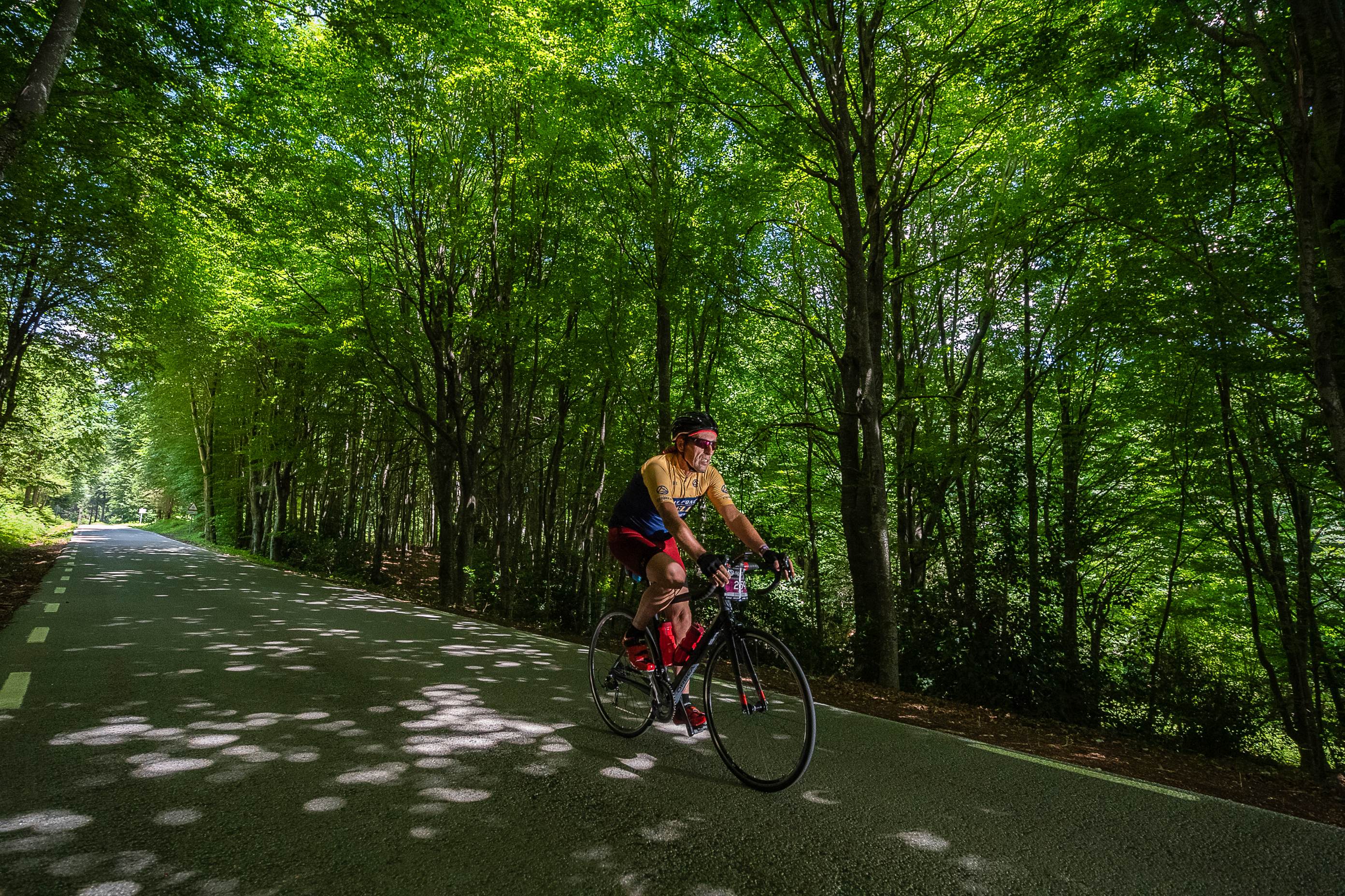 Ciclista atravesando un bosque del Montseny