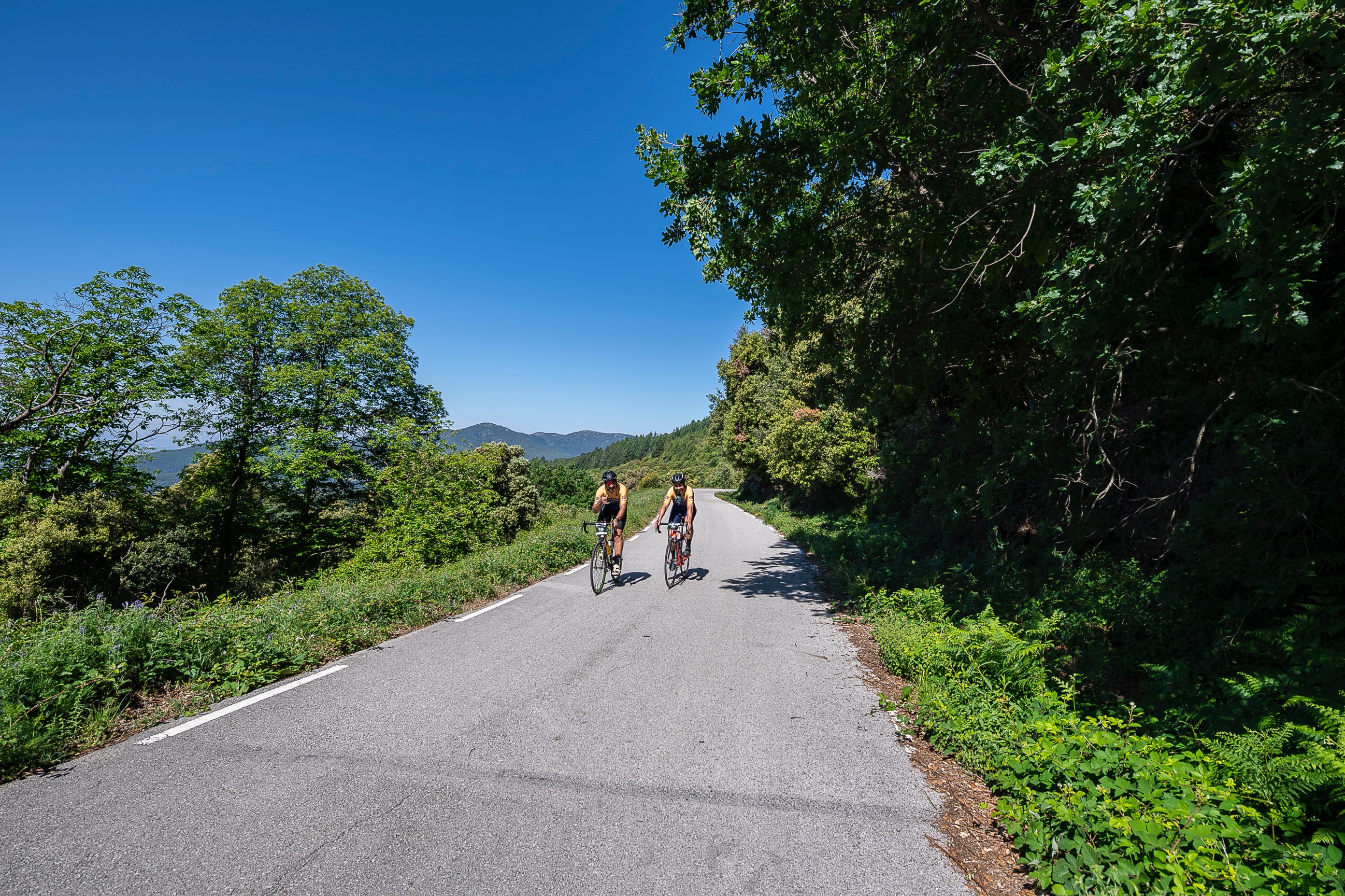 Ciclistas en una carretera de montaña del Montseny