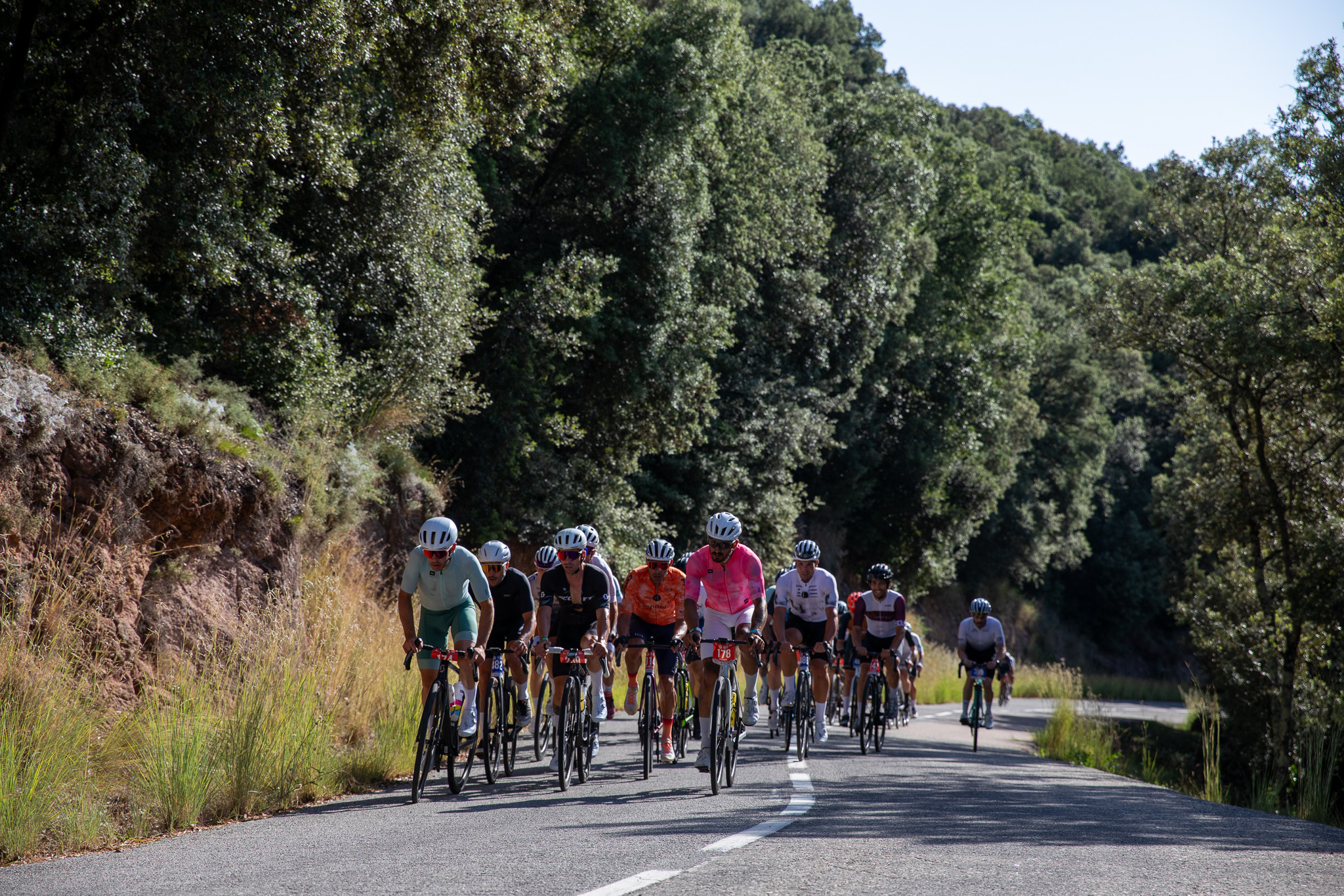 Pelotón de ciclistas avanzando por una carretera forestal