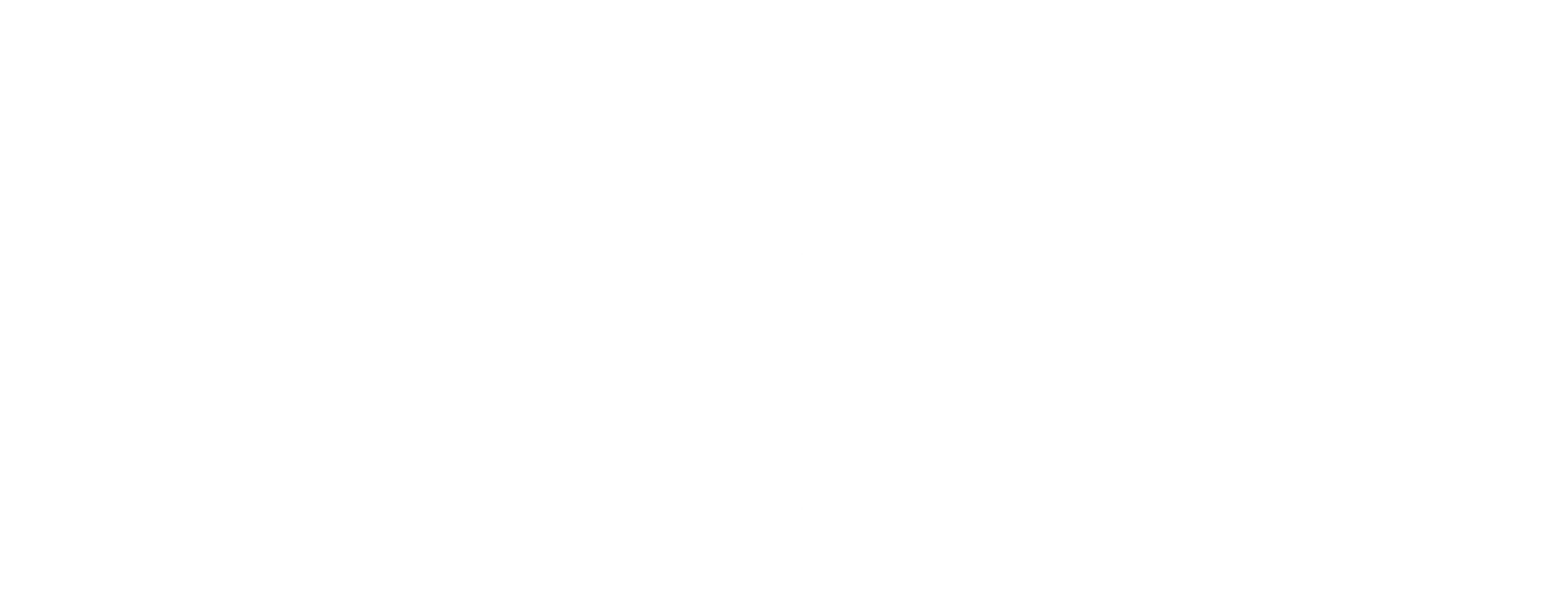 Logo Gran Fondo Pirineus 2027